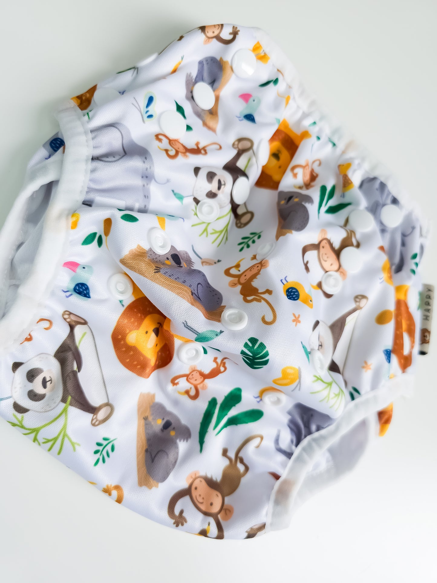 Zwemluier - Wild Animals